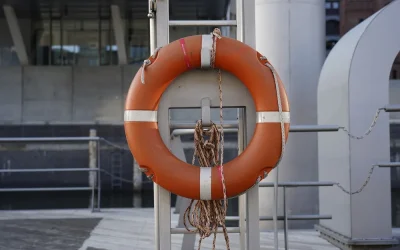 TEMPORARY LIFELINE AND FIXED LIFELINES